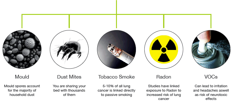 Air contamination in the home: Mould spores in household dust, dust mites, tobacco smoke linked to lung cancer, radon gas, Volatile organic compounds (VOCs) from sprays linked to headaches